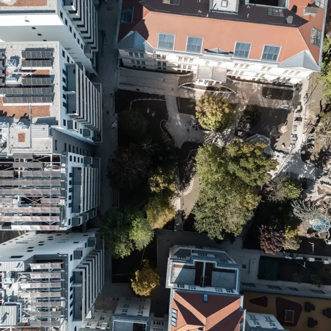 Sophie Web 3 (Mittel)