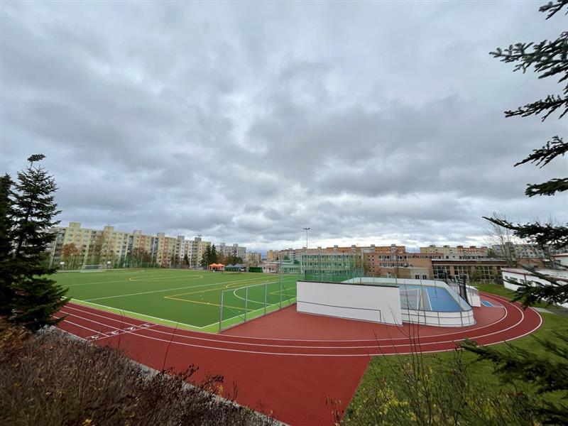 Rekonstrukce sportovního areálu ZŠ, ul. Kralovická, Plzeň - Competență de specialitate