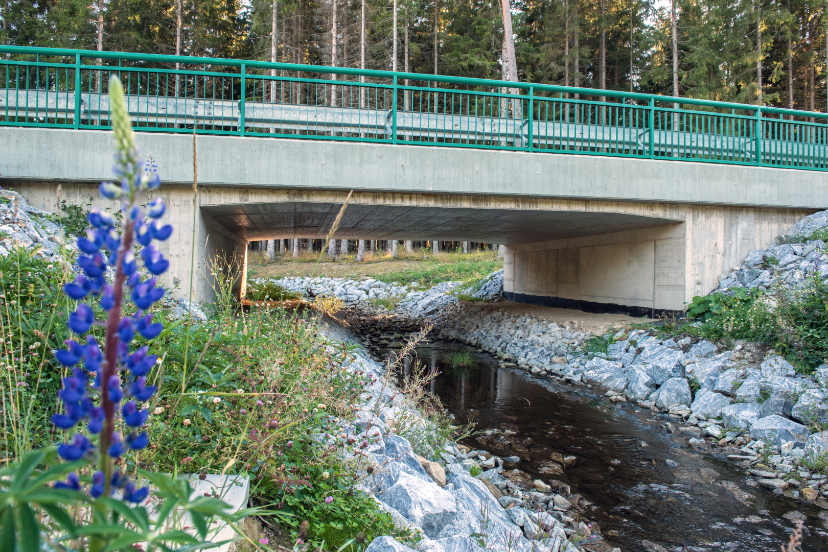 Zadní Zvonková – modernizace přístupu k hraničnímu přechodu CZ/AT - Construcția de drumuri & poduri