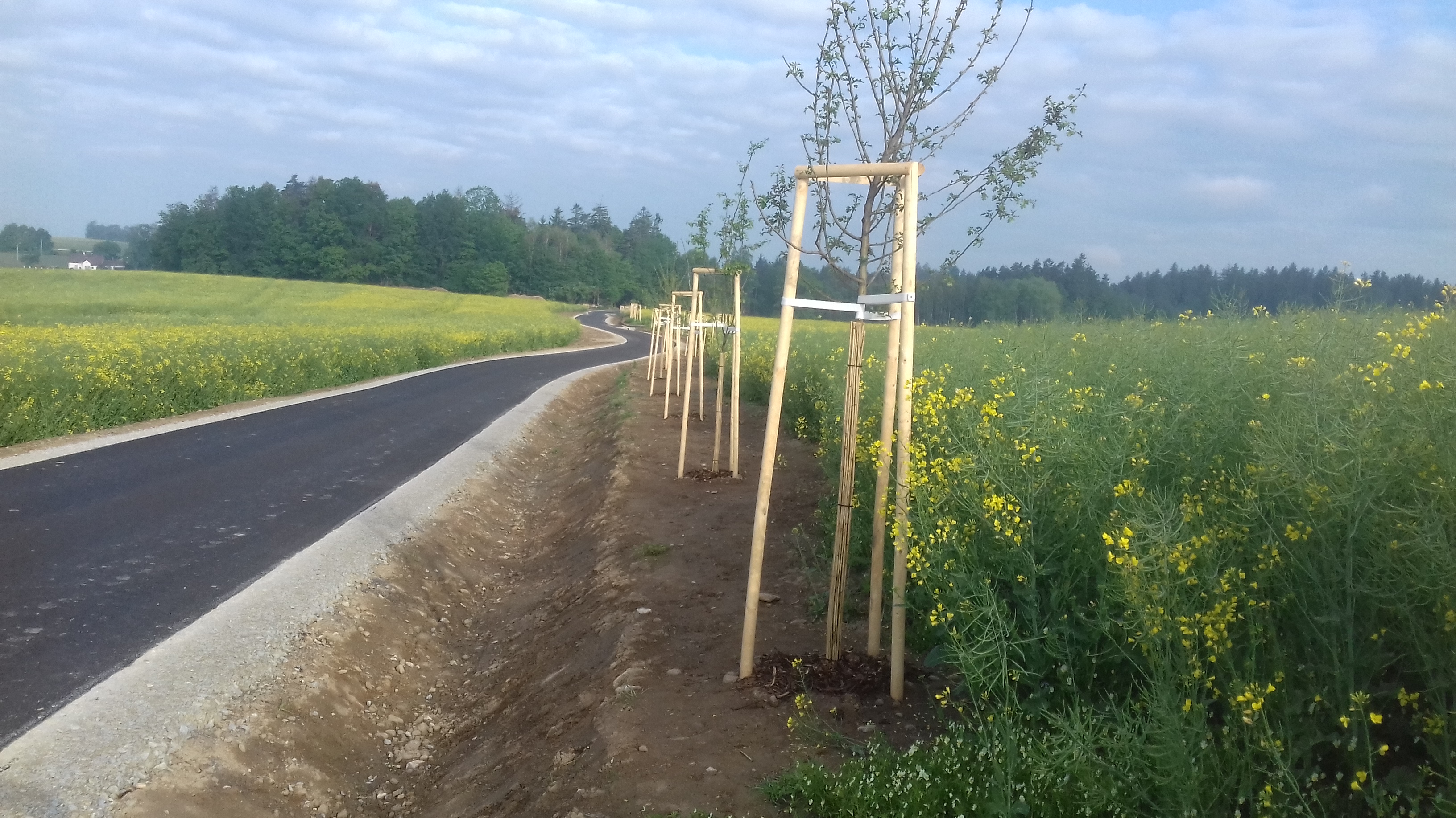 Cyklostezka propojení k.ú. Matná-k.ú.  Buk         - Construcția de drumuri & poduri
