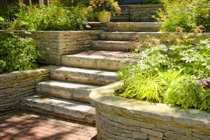 Canva Landscaping (Mittel)