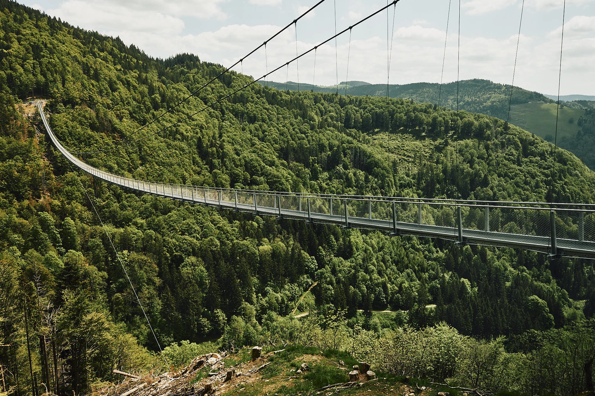 250325 AT Sustainability (C)SWIETELSKY (2)